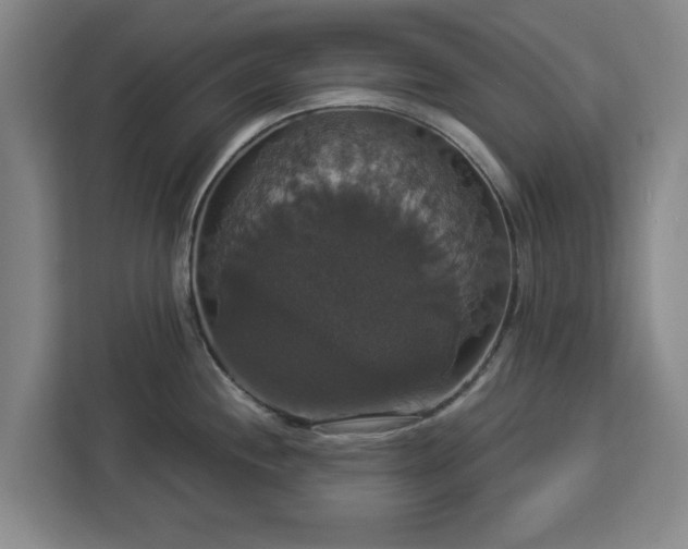 X0000112911244200908311231