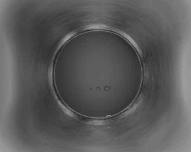 X0000112911245200908311231