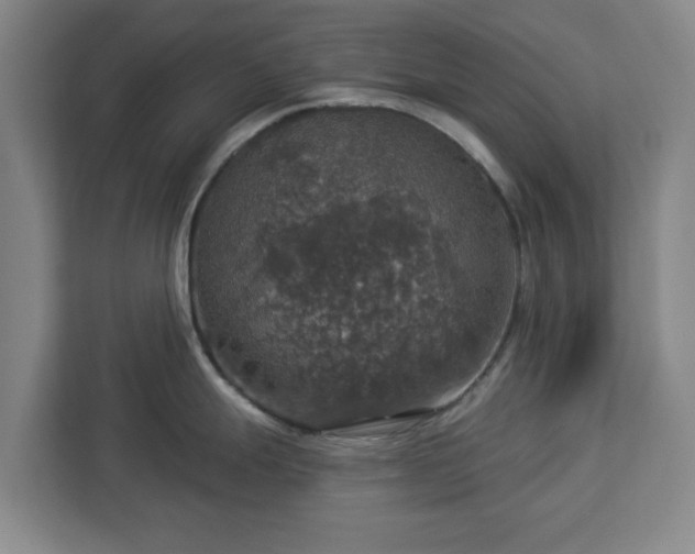 X0000112911247200908311231