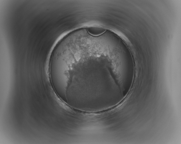 X0000112911248200908311231