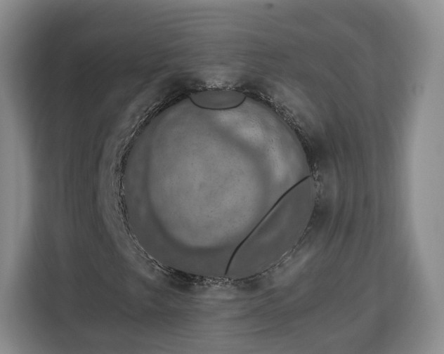 X0000112911249200908311230