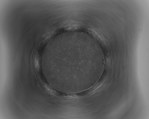 X0000112911250200908311230