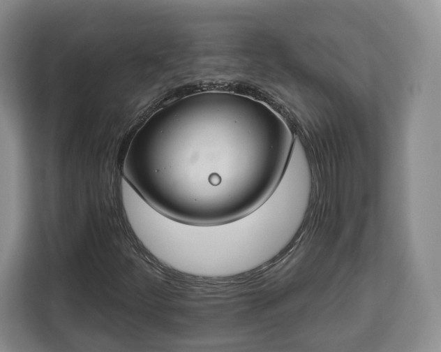 X0000112911252200908311230