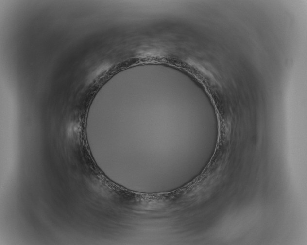 X0000112911254200908311230