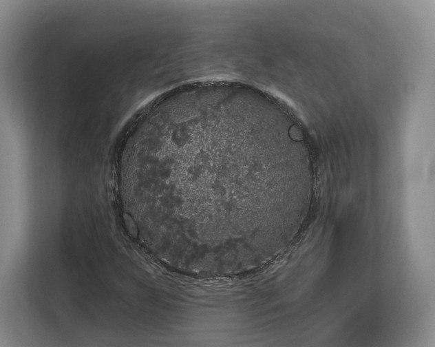 X0000112911255200908311230