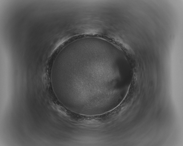 X0000112911256200908311230