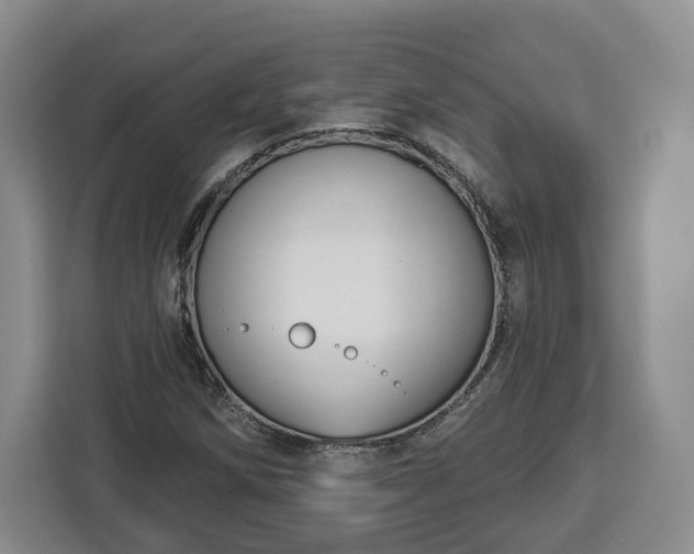 X0000112911258200908311230