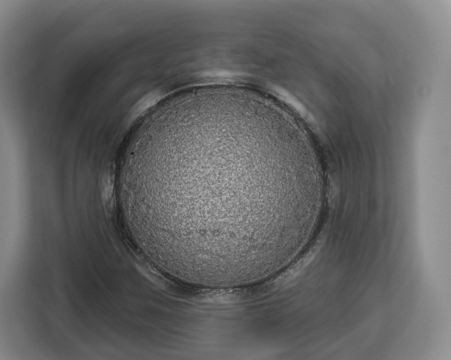 X0000112911259200908311230