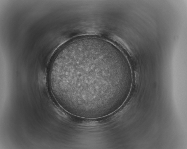 X0000112911260200908311230