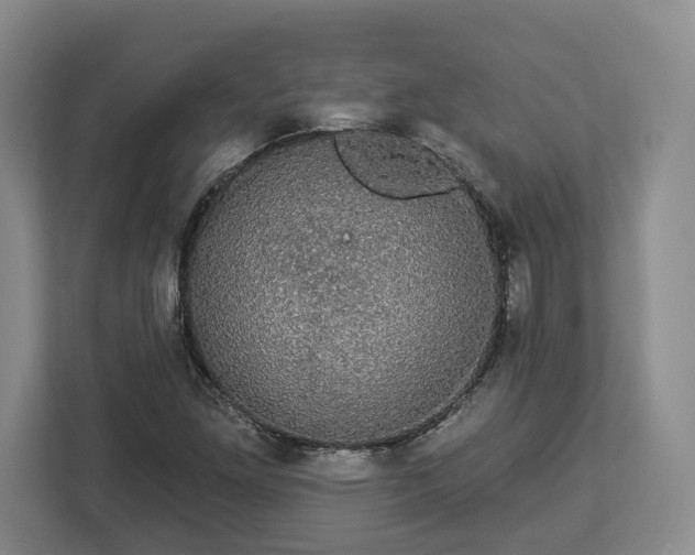 X0000112911261200908311230