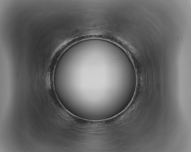 X0000112911262200908311230