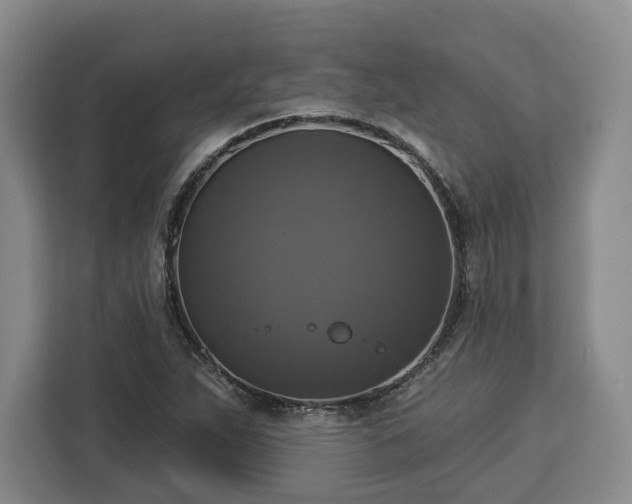 X0000112911263200908311230