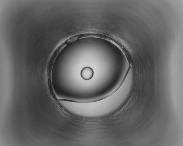 X0000112911264200908311230