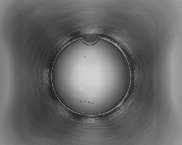 X0000112911265200908311230