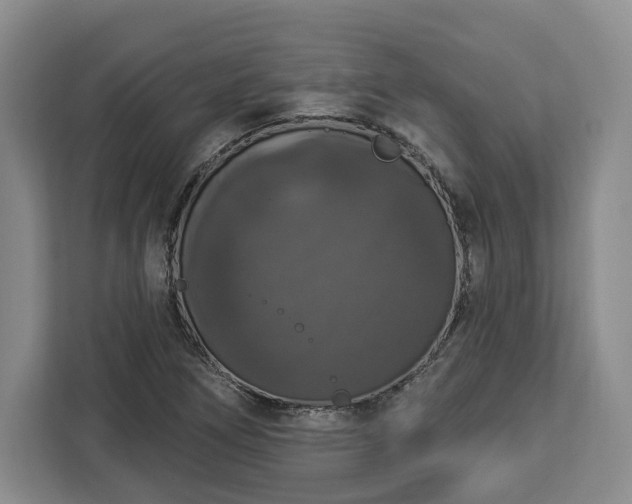 X0000112911266200908311230