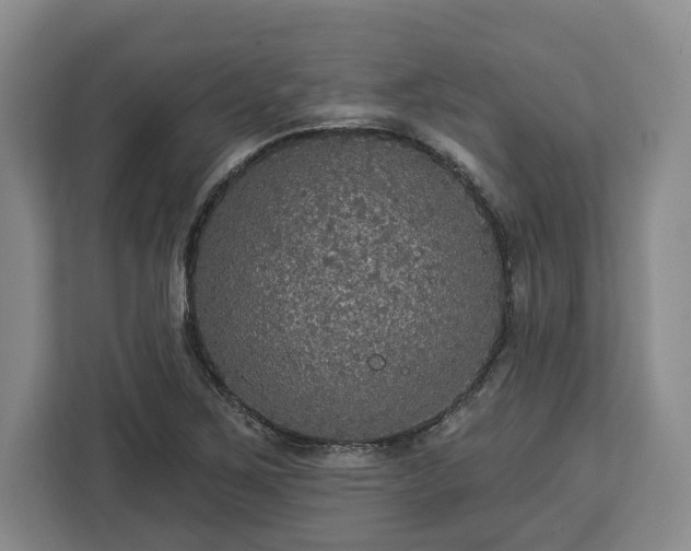 X0000112911267200908311230