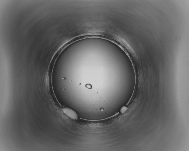 X0000112911268200908311230