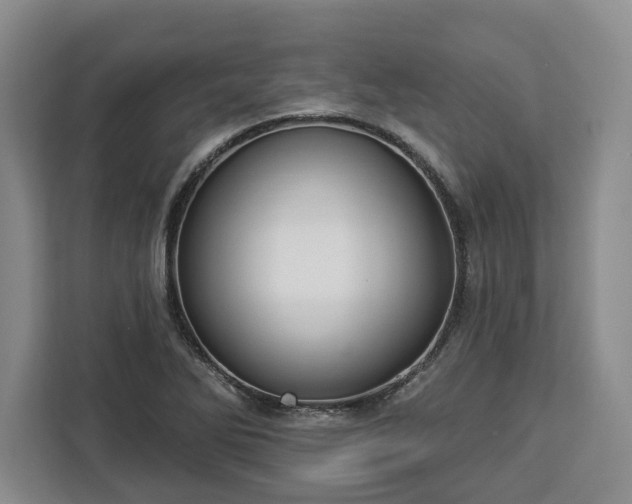 X0000112911270200908311230