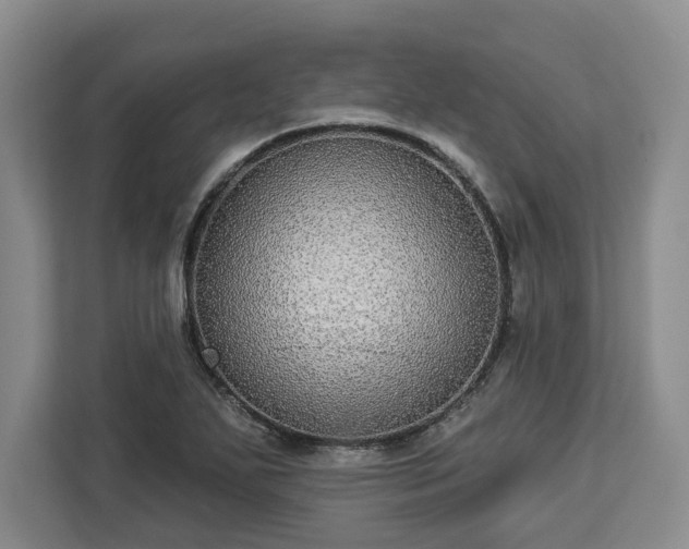 X0000112911271200908311230