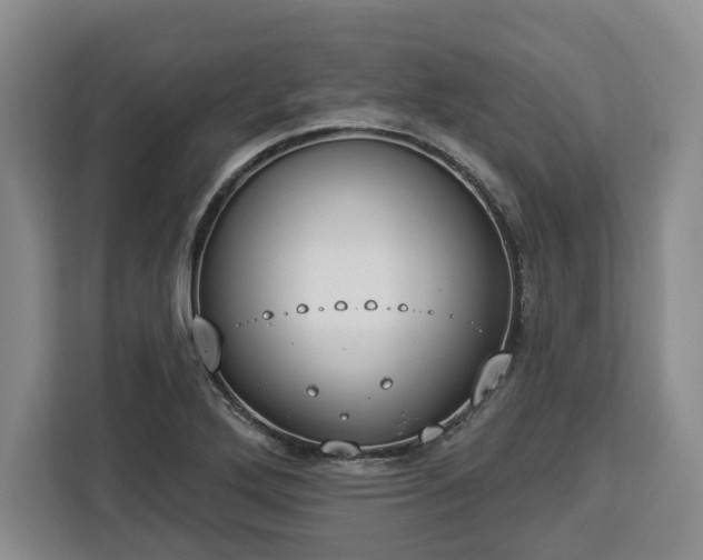 X0000112911272200908311230