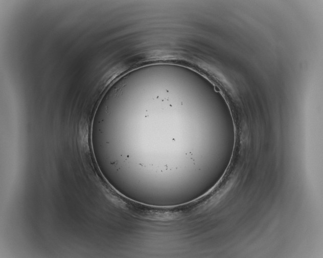 X0000112911273200908311230