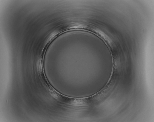 X0000112911274200908311230