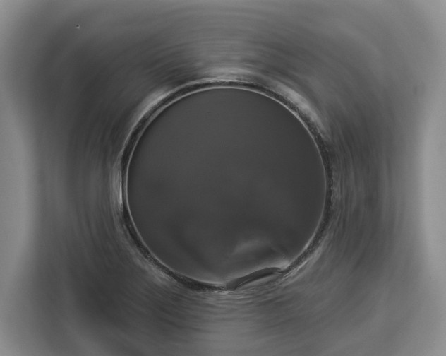 X0000112911275200908311230