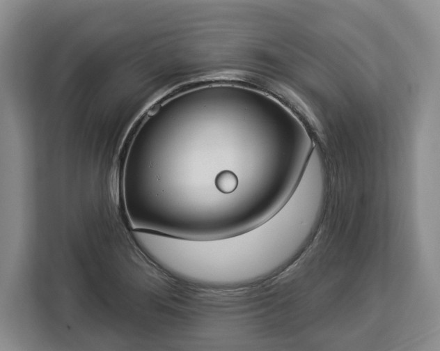 X0000112911276200908311230