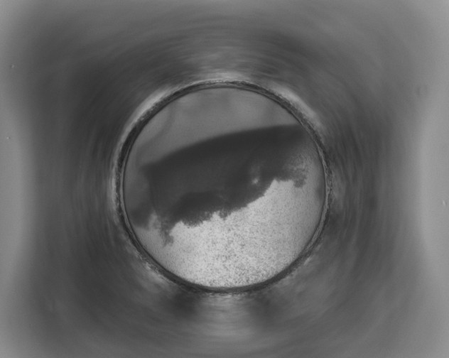 X0000112911278200908311230