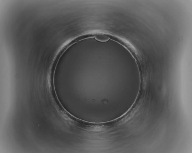 X0000112911279200908311230