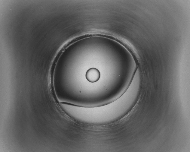 X0000112911280200908311230