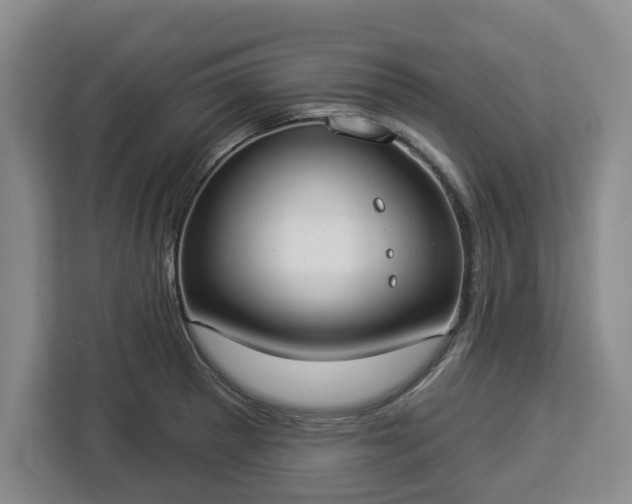 X0000112911281200908311230