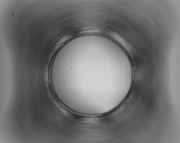 X0000112911282200908311230