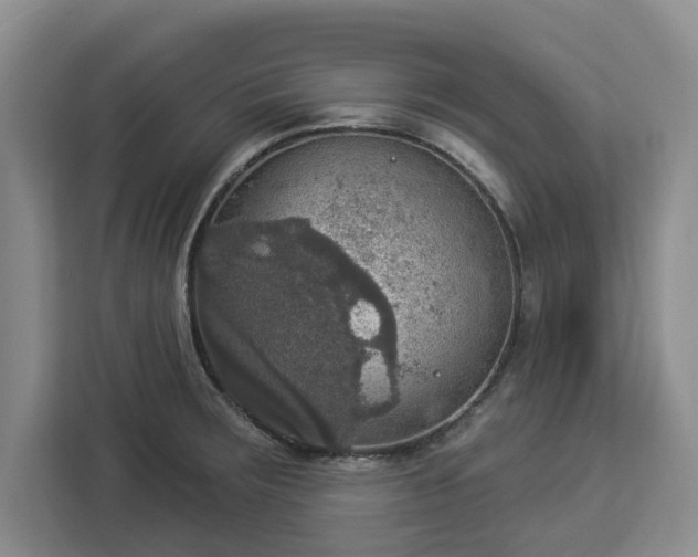 X0000112911283200908311230