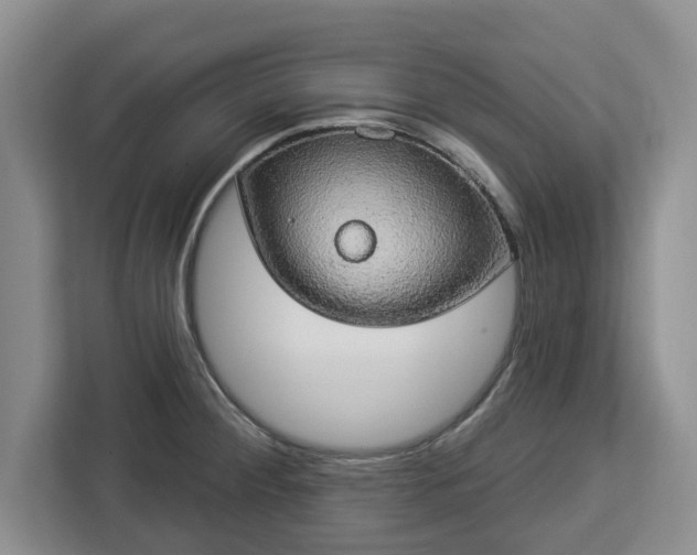 X0000112911284200908311230