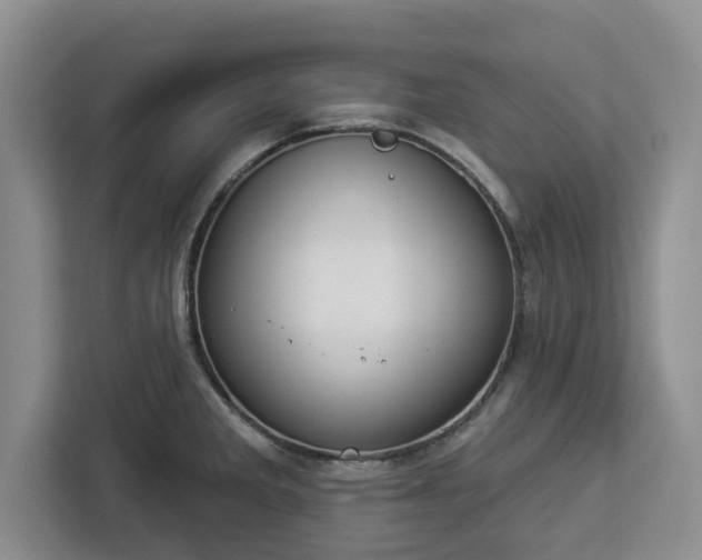 X0000112911285200908311230