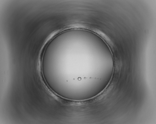 X0000112911286200908311230