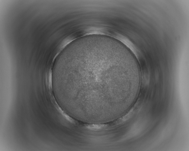 X0000112911290200908311230