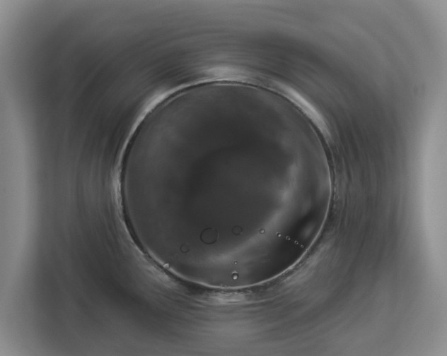 X0000112911291200908311230