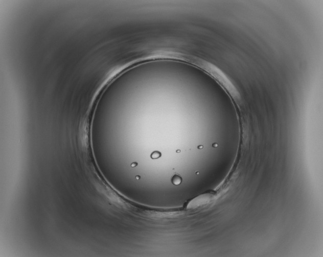 X0000112911292200908311230