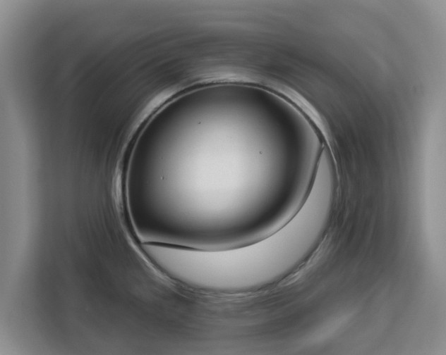 X0000112911293200908311229