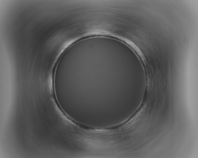 X0000112911295200908311229