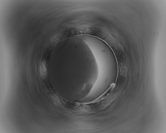 X0000112911298200908311229