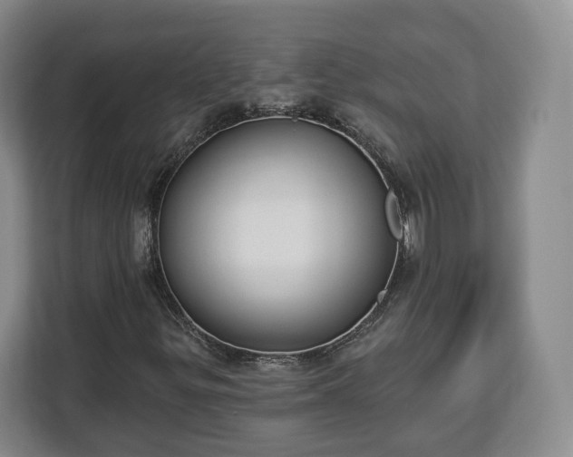 X0000112911299200908311229