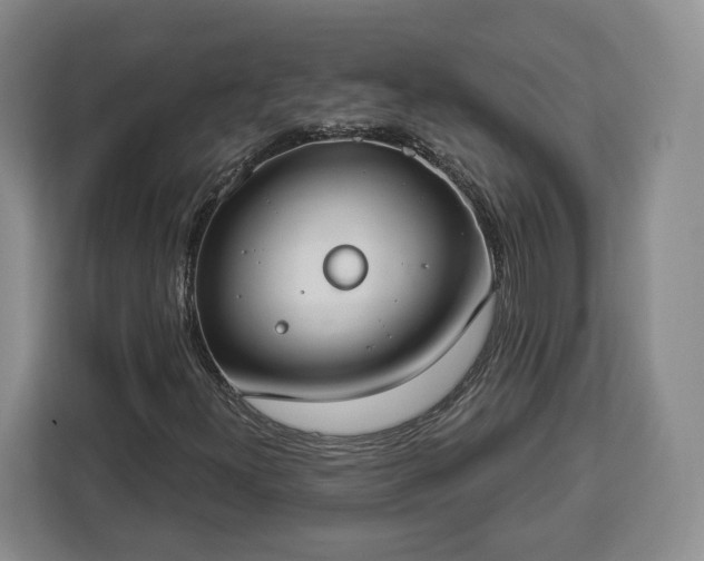 X0000112911300200908311229