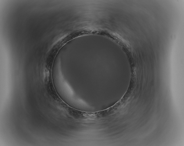 X0000112911302200908311229