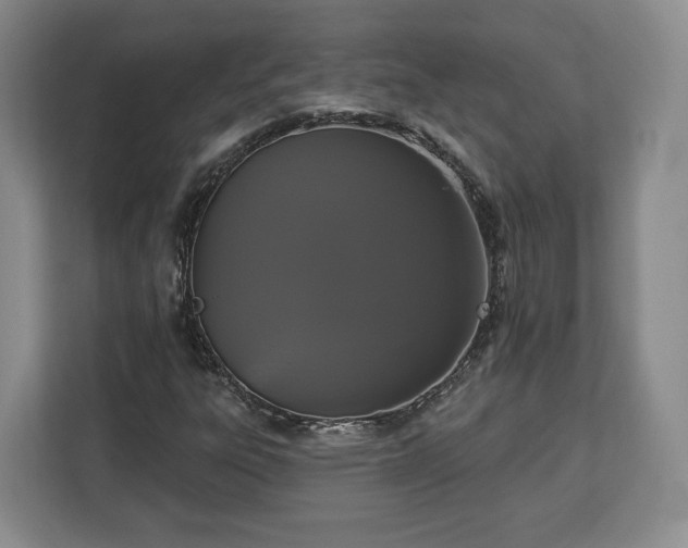 X0000112911303200908311229