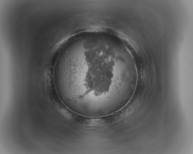 X0000112911304200908311229