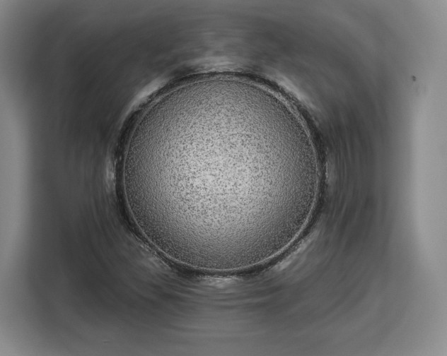 X0000112911309200908311229