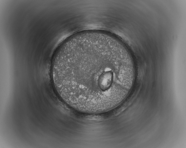 X0000112911314200908311229